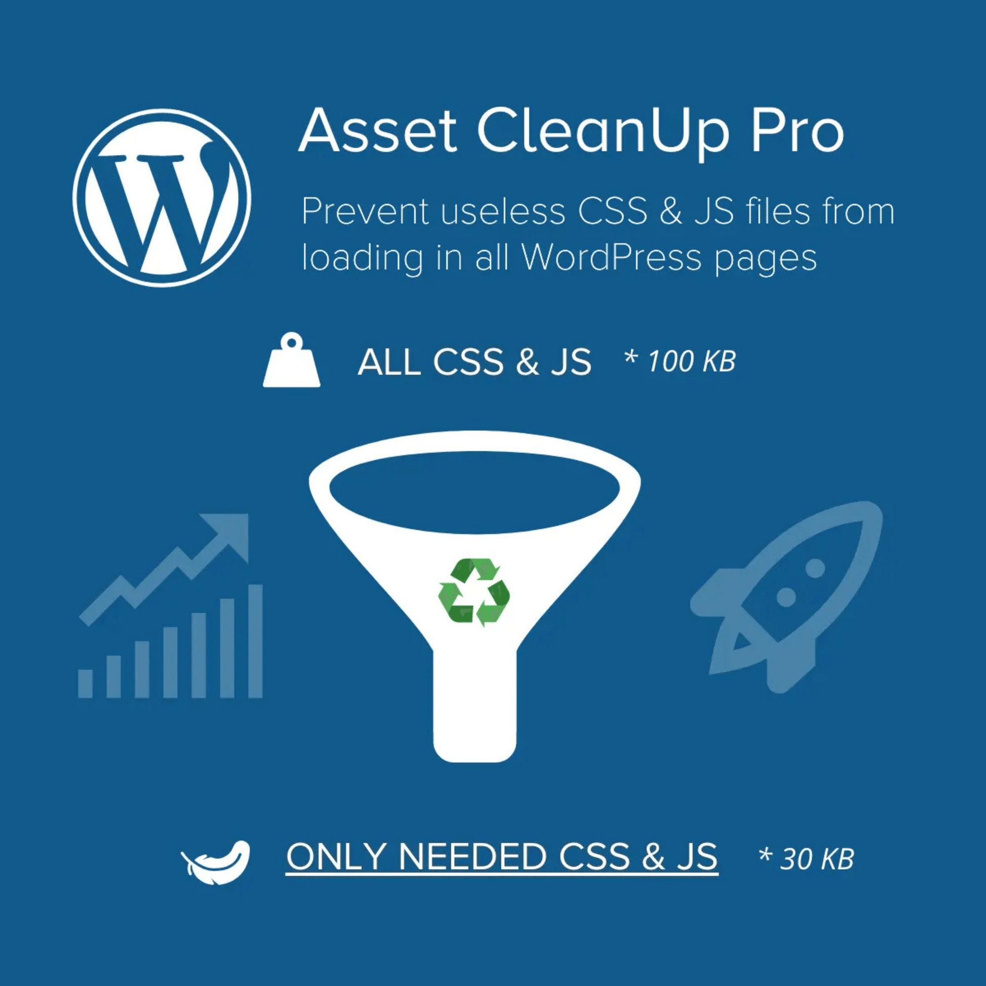 Asset CleanUp Pro Performance Plugin - WP Kit