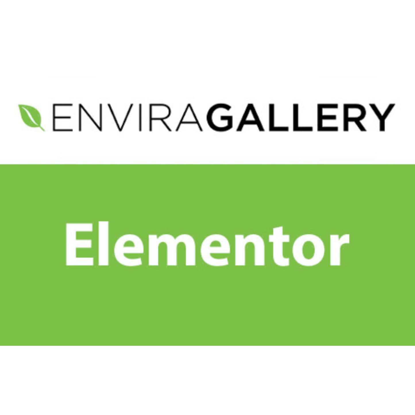 Envira Gallery Pro Elementor Addon - WP Kit