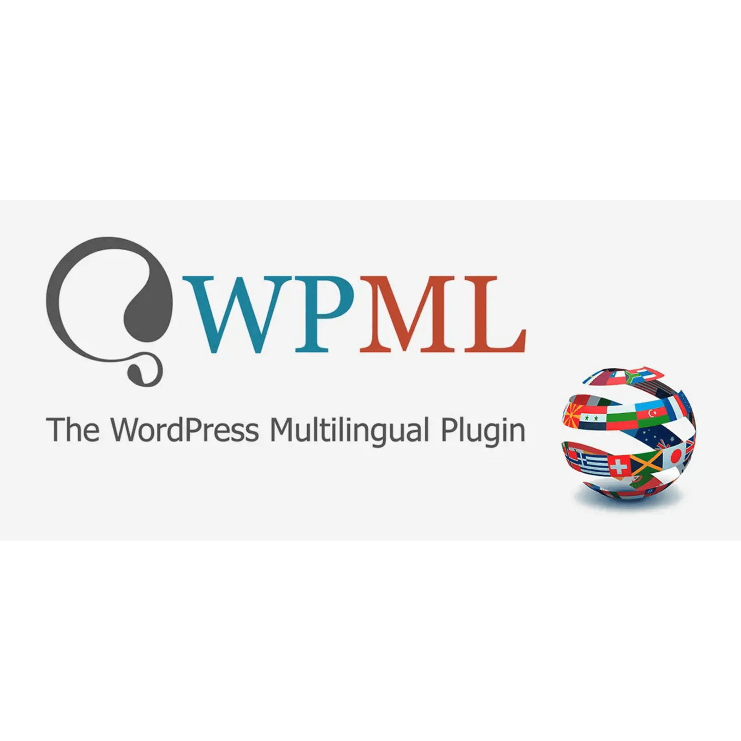 WordPress Multilingual Translation Management Addon - WP Kit